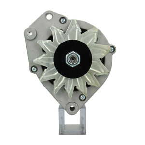 Alternator in the group Electrical system / Alternator / Alternator at  Professional Parts Sweden AB (205013090010)