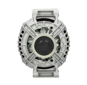 Alternator in the group Electrical system / Alternator / Alternator at  Professional Parts Sweden AB (205525140010)