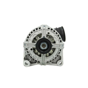 Alternator in the group Electrical system / Alternator / Alternator at  Professional Parts Sweden AB (215525120010)