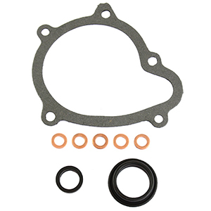 Water pump gasket set in the group Engine parts / Water pump at  Professional Parts Sweden AB (26430667)