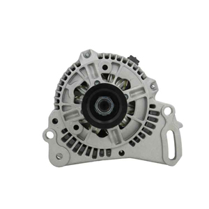 Alternator in the group Electrical system / Alternator / Alternator at  Professional Parts Sweden AB (305501090010)