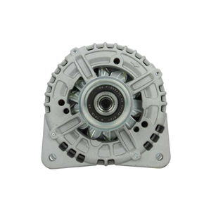 Alternator in the group Electrical system / Alternator / Alternator at  Professional Parts Sweden AB (305518180011)