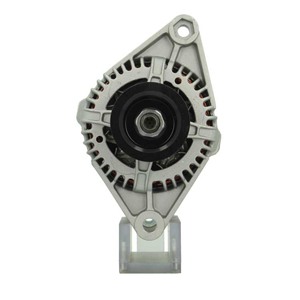 Alternator in the group Electrical system / Alternator / Alternator at  Professional Parts Sweden AB (505530065050)