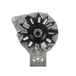 Alternator in the group Electrical system / Alternator / Alternator at  Professional Parts Sweden AB (595001055100)