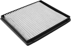Fresh air filter carbon in the group Filter / Fresh air filter at  Professional Parts Sweden AB (87340080)