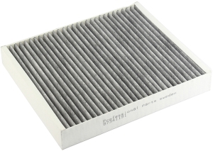 Fresh air filter carbon in the group Filter / Fresh air filter at  Professional Parts Sweden AB (87341191)