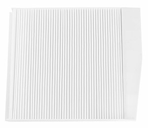 Fresh air filter in the group Filter / Fresh air filter at  Professional Parts Sweden AB (87430752)