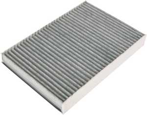 Fresh air filter carbon in the group Filter / Fresh air filter at  Professional Parts Sweden AB (87437024)